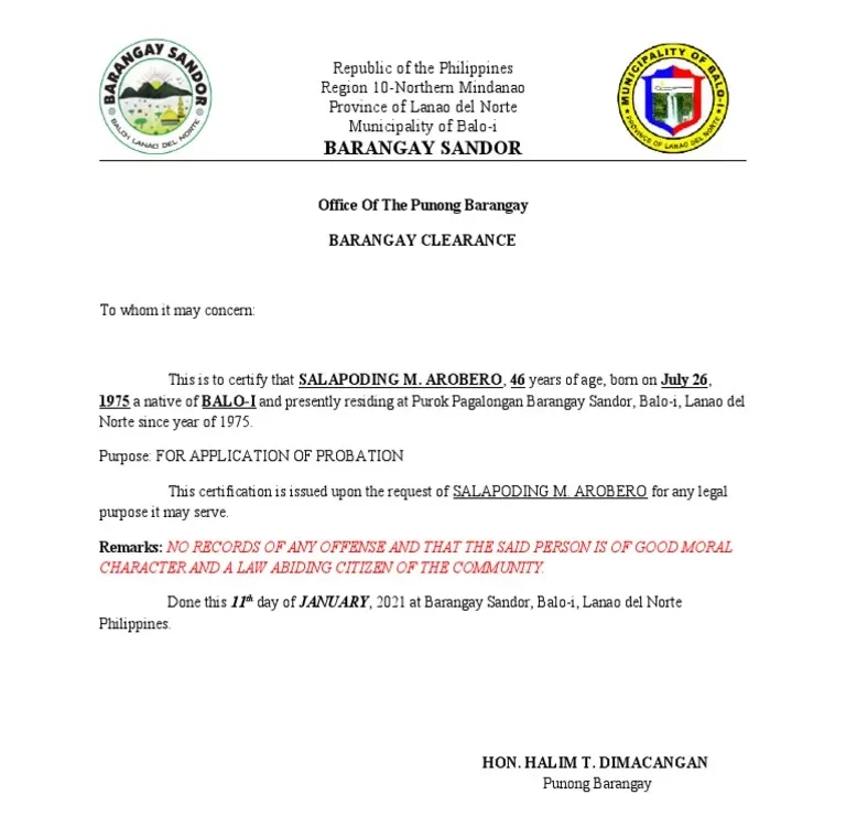 What is a Barangay Clearance?
